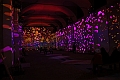 Claude Monet the immersive experience_052